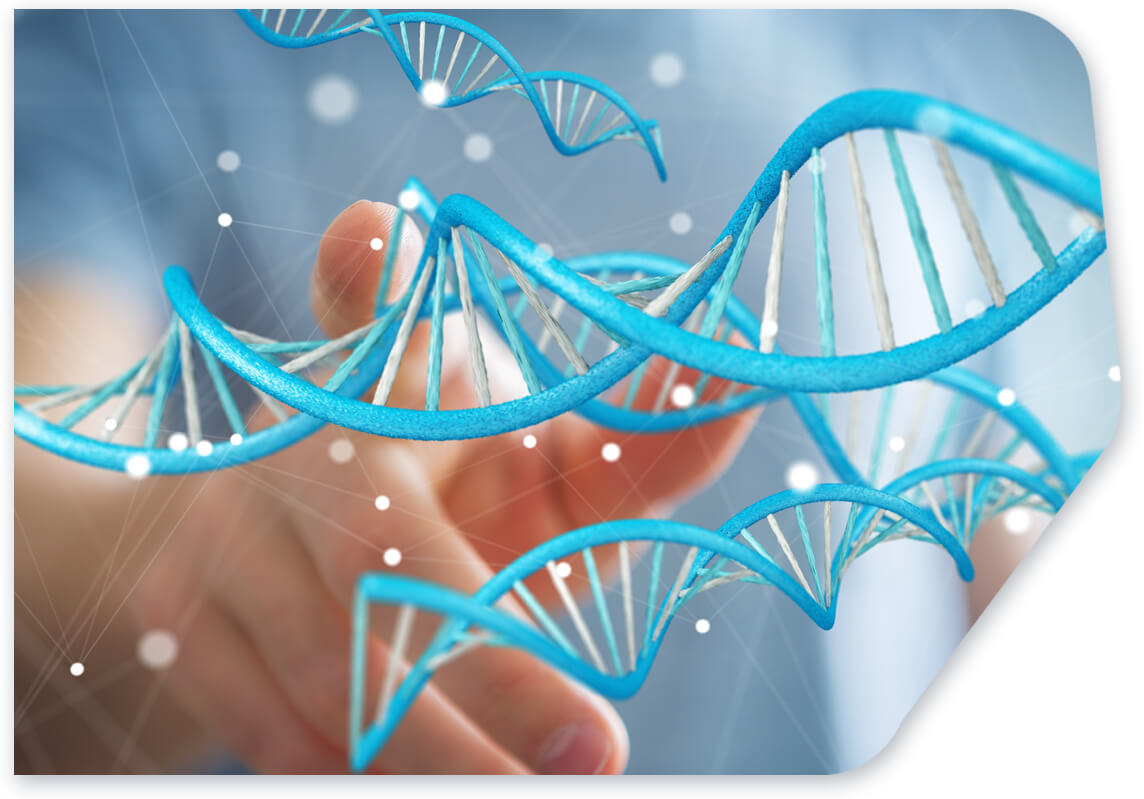 MAK-System image shape left cosmas