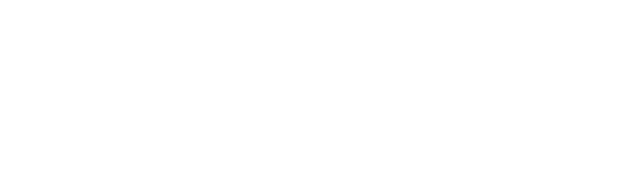 mak-system-eprogesa-logo-white-rgb-900px-w-72ppi